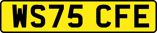 WS75CFE