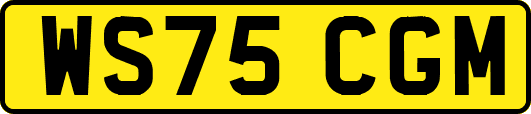WS75CGM