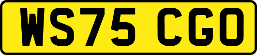 WS75CGO