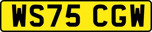 WS75CGW