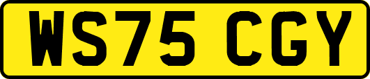 WS75CGY