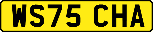WS75CHA