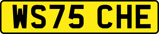 WS75CHE