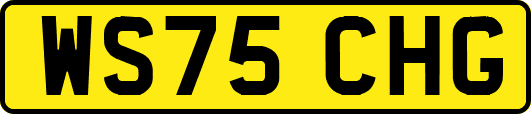 WS75CHG