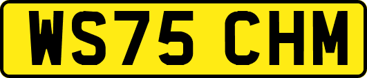 WS75CHM
