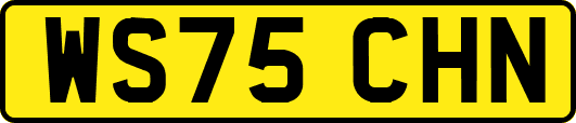 WS75CHN