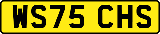 WS75CHS