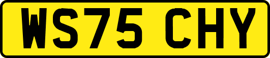WS75CHY