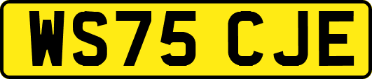 WS75CJE
