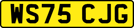 WS75CJG