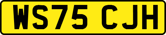 WS75CJH