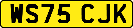 WS75CJK