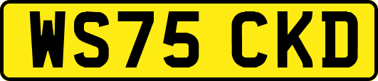 WS75CKD