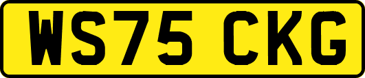 WS75CKG