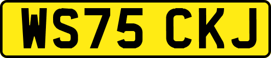 WS75CKJ