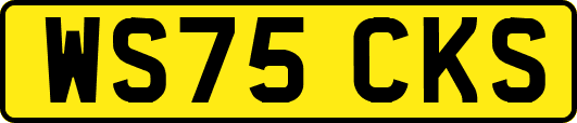 WS75CKS