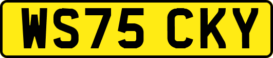 WS75CKY