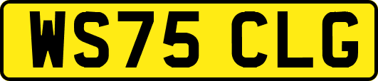 WS75CLG
