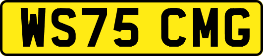 WS75CMG