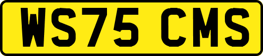 WS75CMS