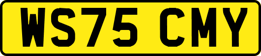 WS75CMY