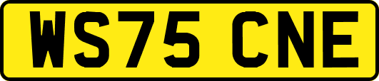 WS75CNE