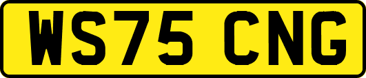 WS75CNG