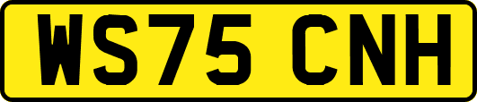 WS75CNH