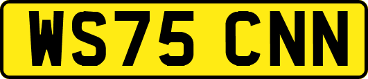 WS75CNN