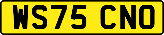 WS75CNO