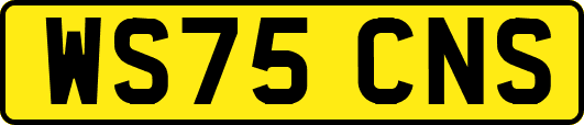 WS75CNS