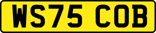 WS75COB