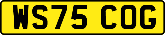 WS75COG