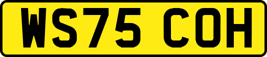 WS75COH