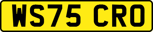WS75CRO