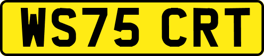 WS75CRT