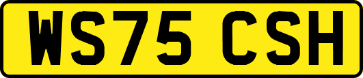 WS75CSH
