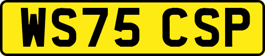 WS75CSP