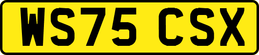 WS75CSX