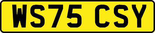 WS75CSY