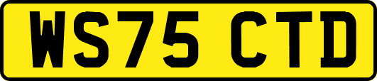WS75CTD