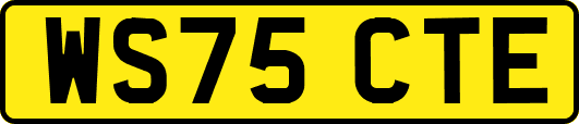 WS75CTE
