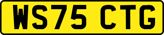 WS75CTG