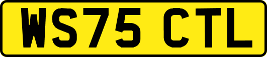 WS75CTL