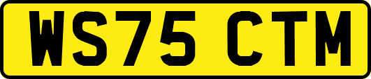WS75CTM
