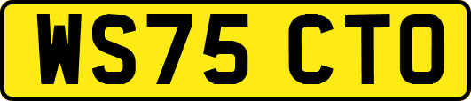 WS75CTO