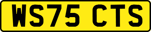 WS75CTS