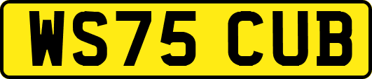 WS75CUB