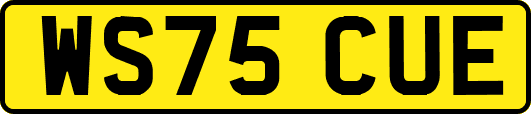 WS75CUE
