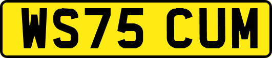 WS75CUM